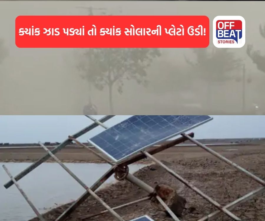 40 કિ.મી.ની ઝડપે પવન સાથે વાવાઝોડાનું સ્વરૂપ લઈ તૂટી પડ્યો વરસાદ