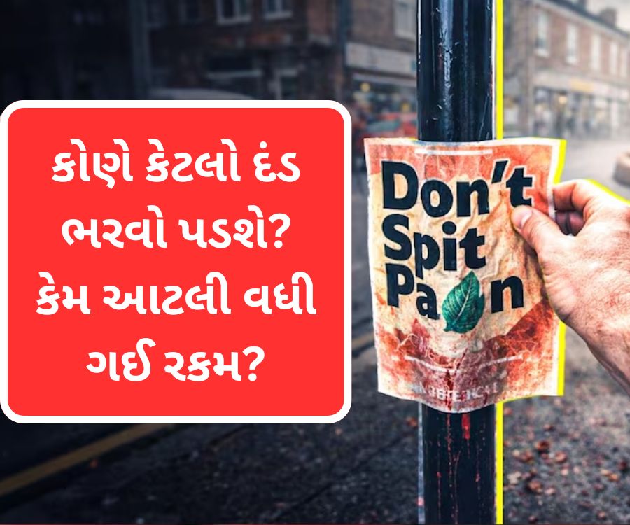 કોણે કેટલો દંડ ભરવો પડશે?