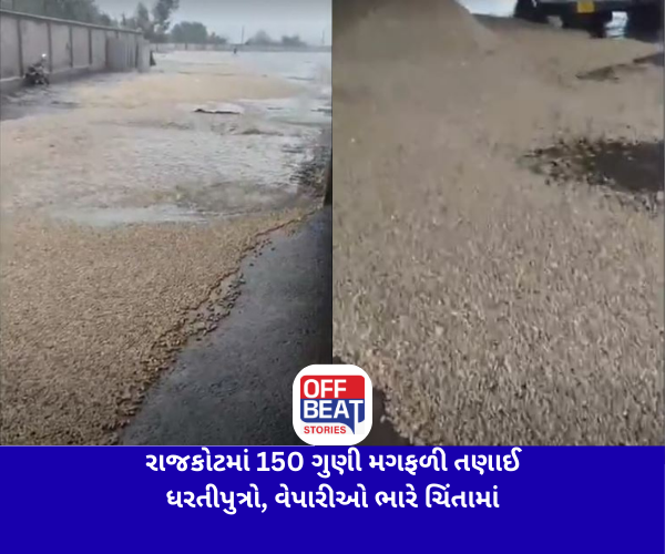 રાજકોટ બેડી યાર્ડમાં 150 ગુણી મગફળી તણાઈ
