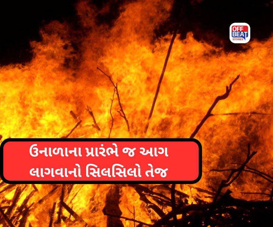 60 લાખથી 1 કરોડના નુકસાનની આશંકા