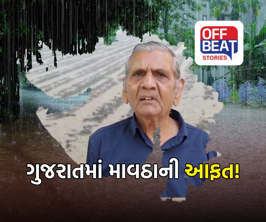 ગુજરાતમાં માવઠાની આફત! 55 કિમીની ઝડપે ફૂંકાશે પવન અને ધમરોળશે વરસાદ!