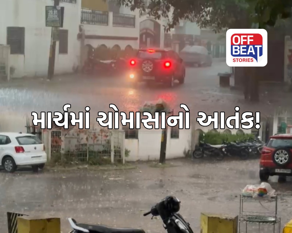 ગુજરાતમાં અચાનક મોસમી પલટો