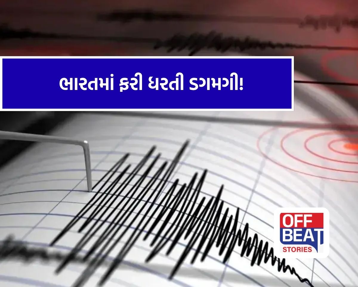 ભારતમાં ભૂકંપના બે જોરદાર ઝટકા