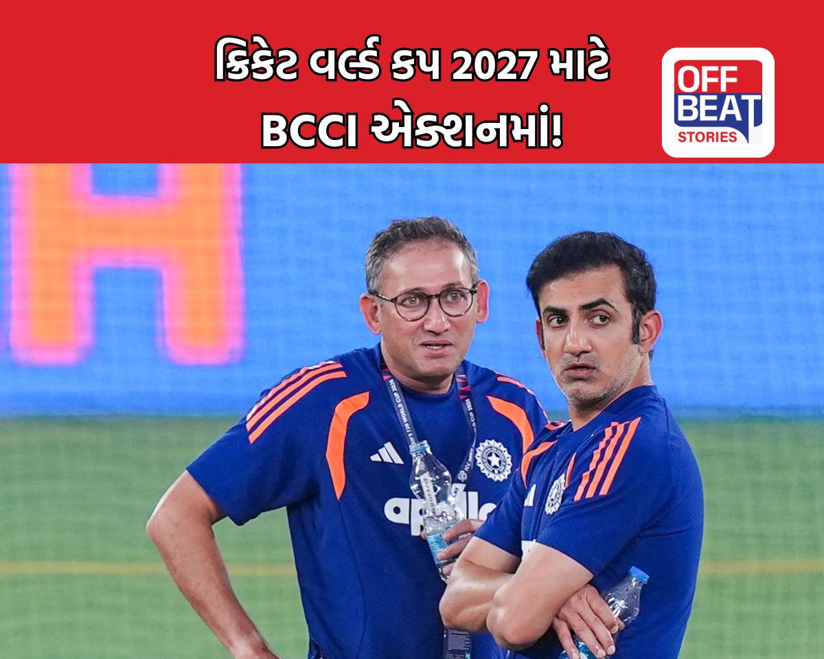 IPL માં જે જબરદસ્ત પરફોર્મન્સ કરશે તેને વર્લ્ડ કપ 2027 માં મળશે તક!