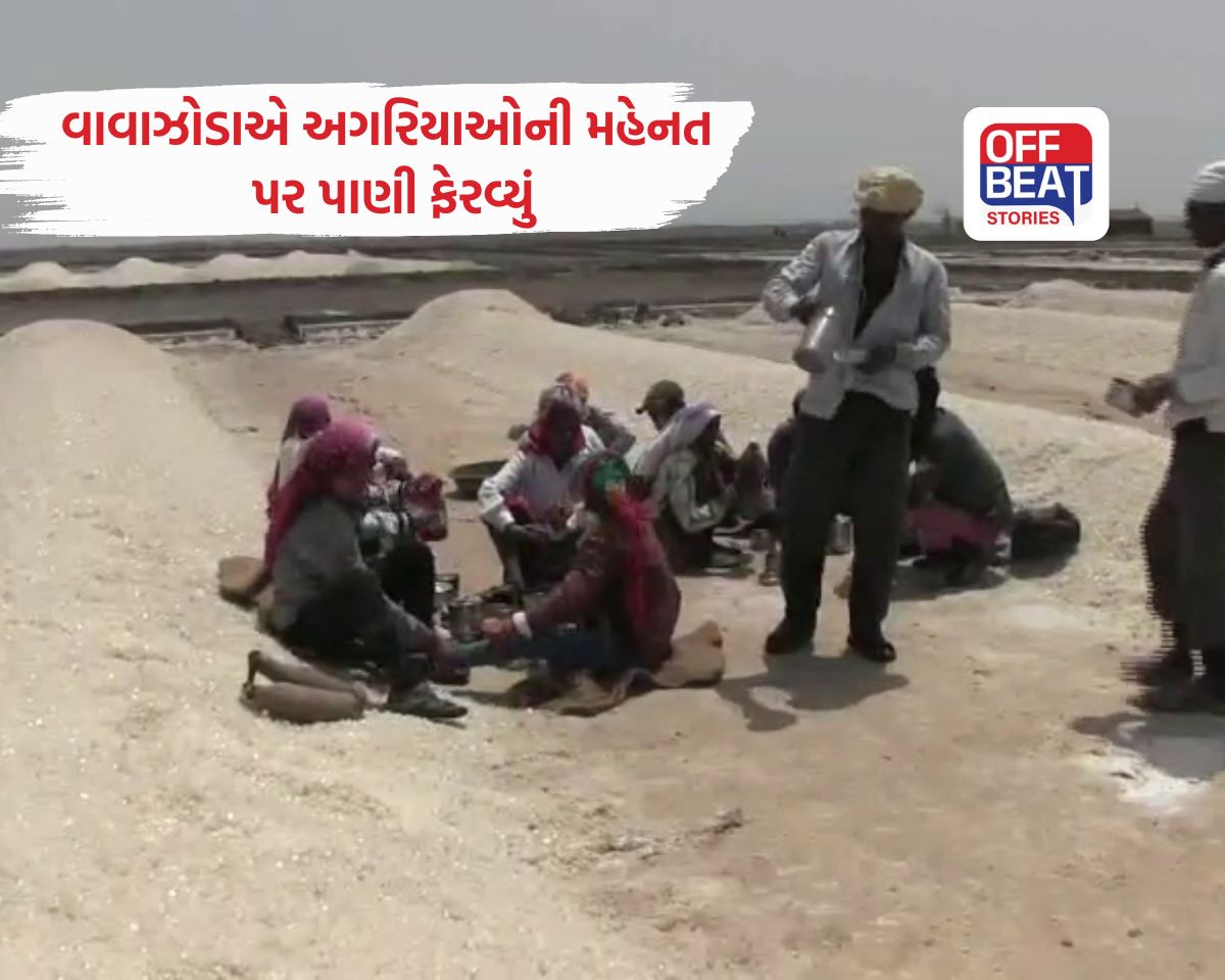 કચ્છના રણમાં વાવાઝોડાએ અગરિયાઓની છ મહિનાની મહેનત ધોઈ નાખી