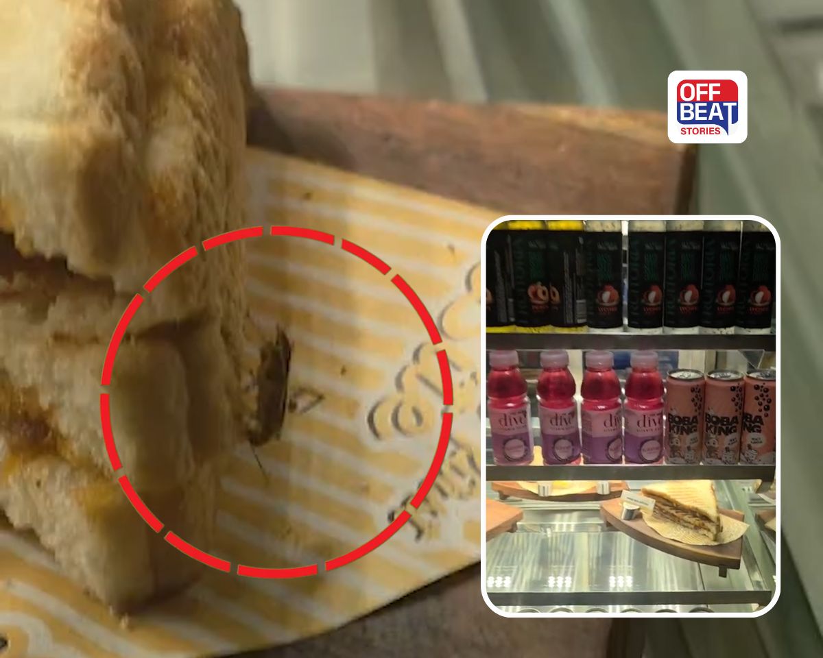 રાજકોટની INOXમાં પ્રીમિયમ નાસ્તા સાથે 'વંદો' ફ્રી!