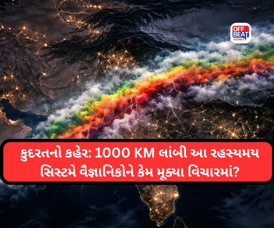 ચોંકાવનારો ખુલાસો