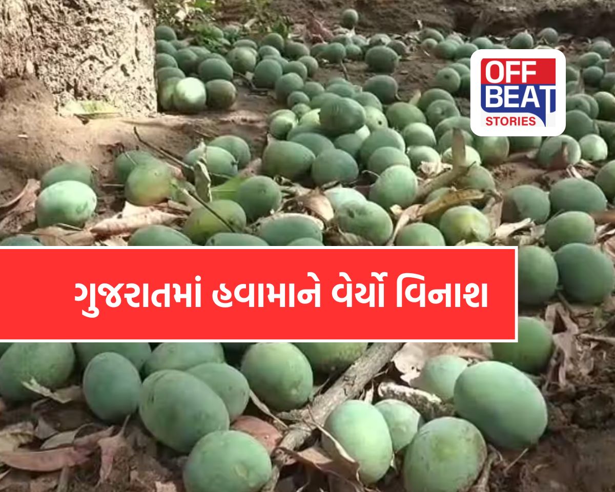 ગુજરાતમાં અચાનક માવઠું બન્યું આફત!
