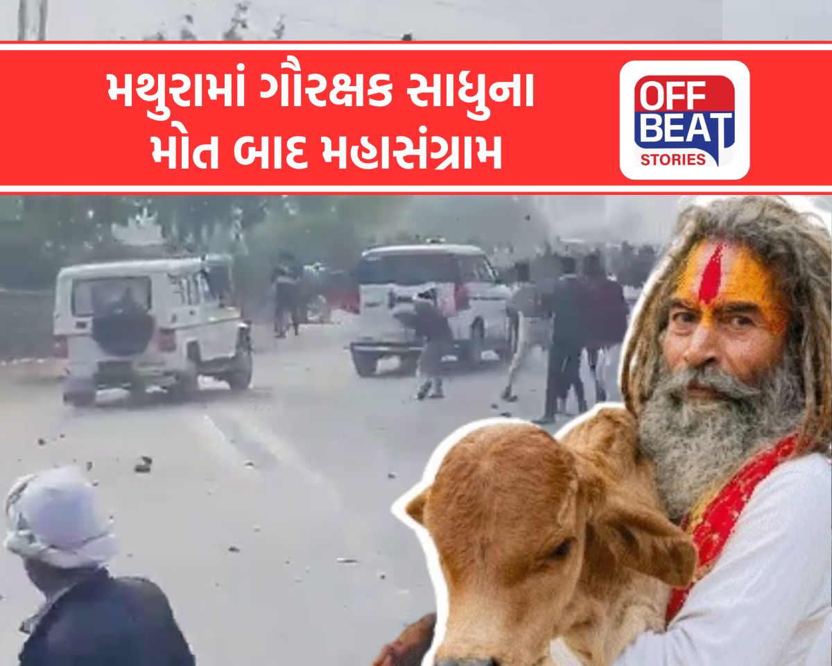 મથુરામાં ગૌરક્ષક સાધુના મોત બાદ મહાસંગ્રામ