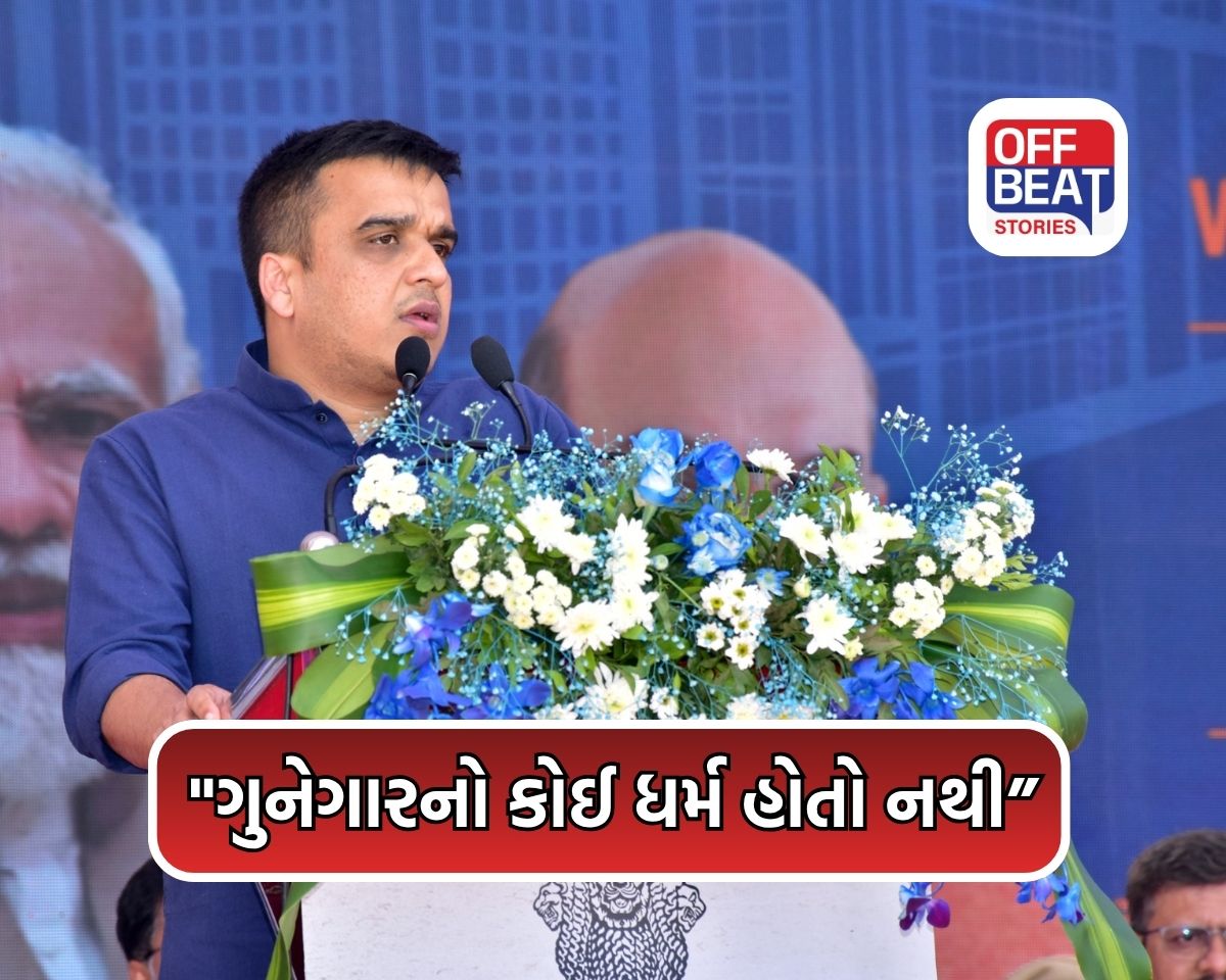 "લુખ્ખા તત્વોને પોલીસ 'હનુમાન' બનીને સીધા કરશે"