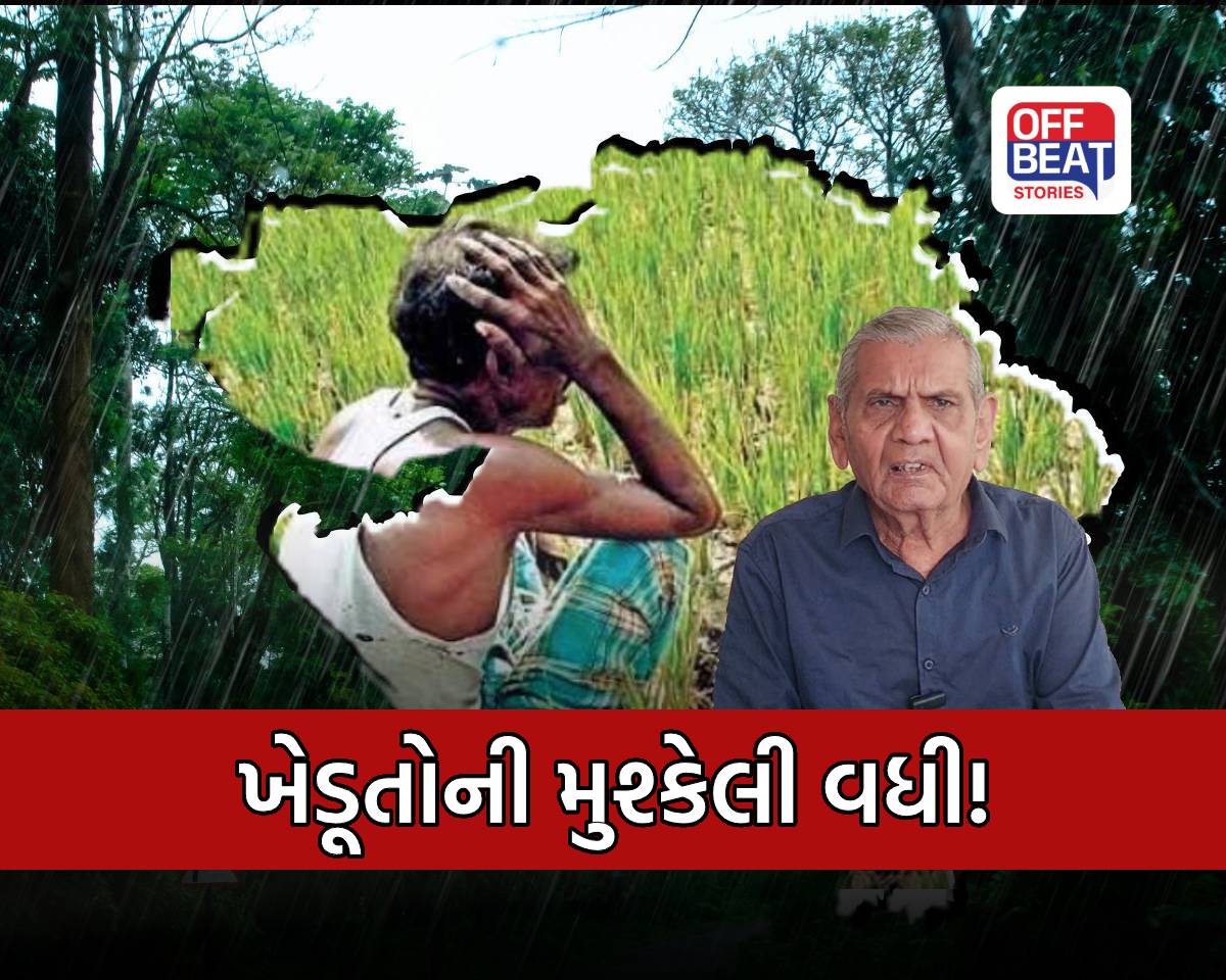 રાજ્યમાં ભર ઉનાળે ખાબકશે વરસાદ!