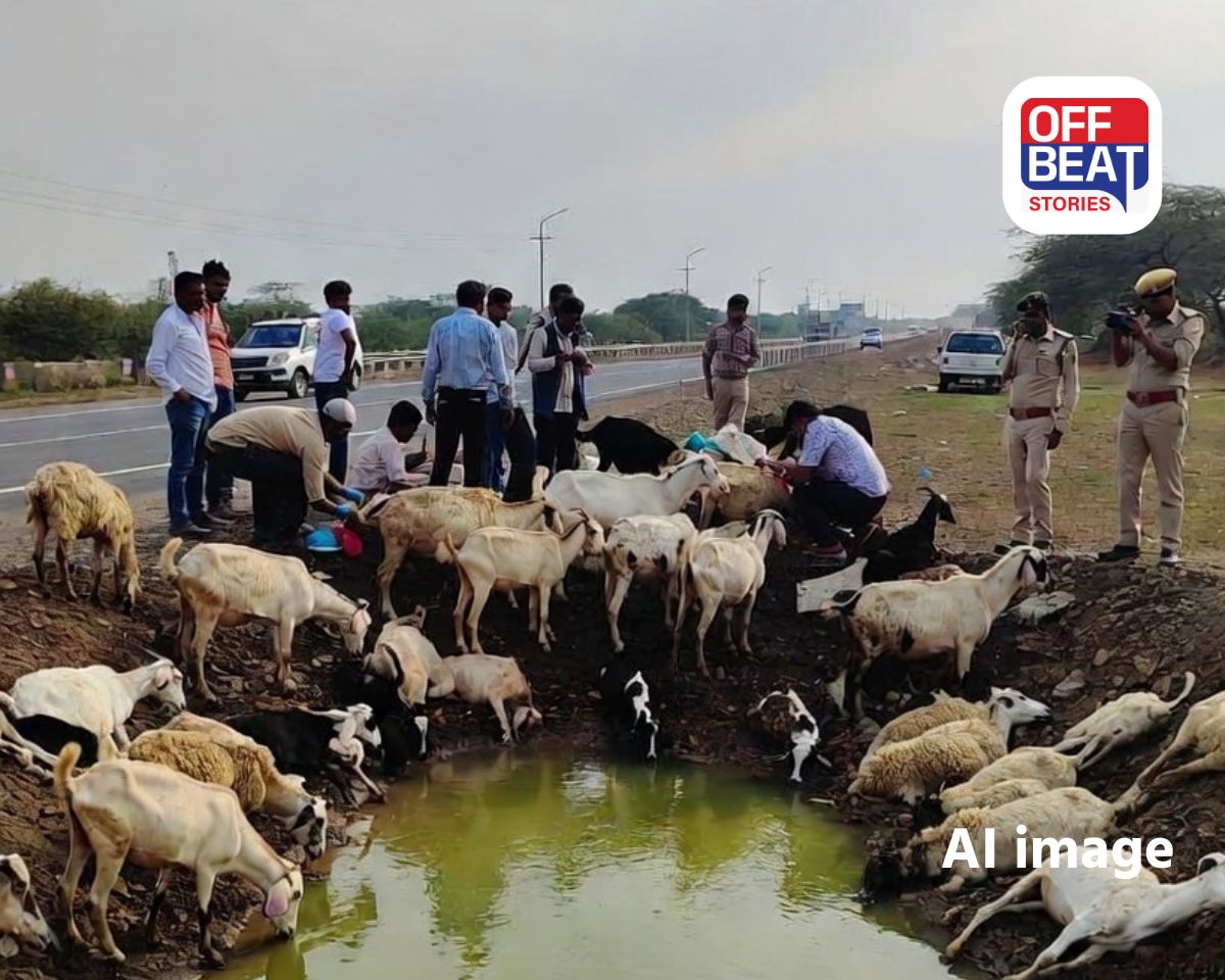 સાણંદ–વિરમગામ હાઇવે પર મોટી દુર્ઘટના