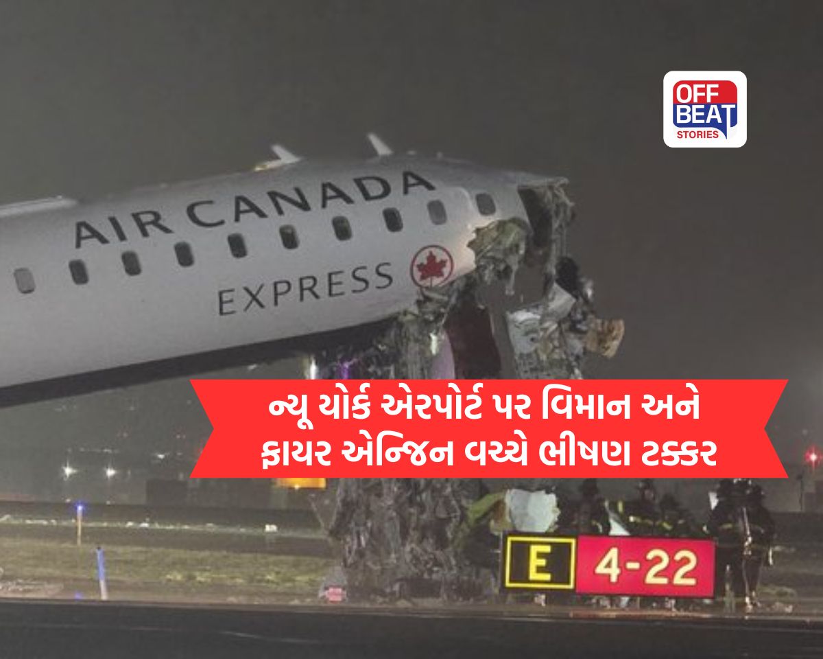 ન્યૂ યોર્ક એરપોર્ટ પર વિમાન અને ફાયર એન્જિન વચ્ચે ભીષણ ટક્કર