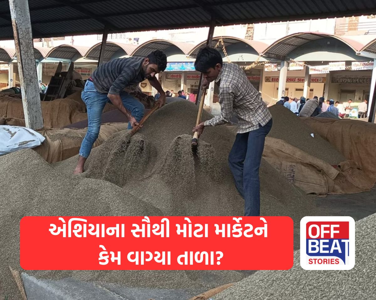ખેડૂતો અને વેપારીઓ માટે સૌથી મહત્ત્વના સમાચાર