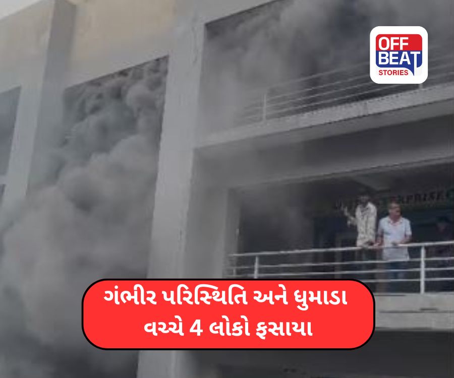 મણીનગરના સુમેલ-1 બિઝનેસ પાર્કમાં ભીષણ આગ