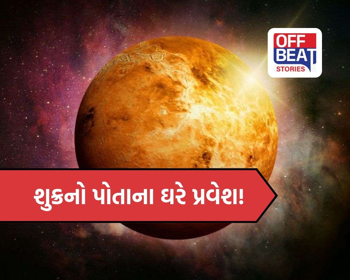 એક મહિના પછી, શુક્રની પોતાના ઘરે એન્ટ્રી!