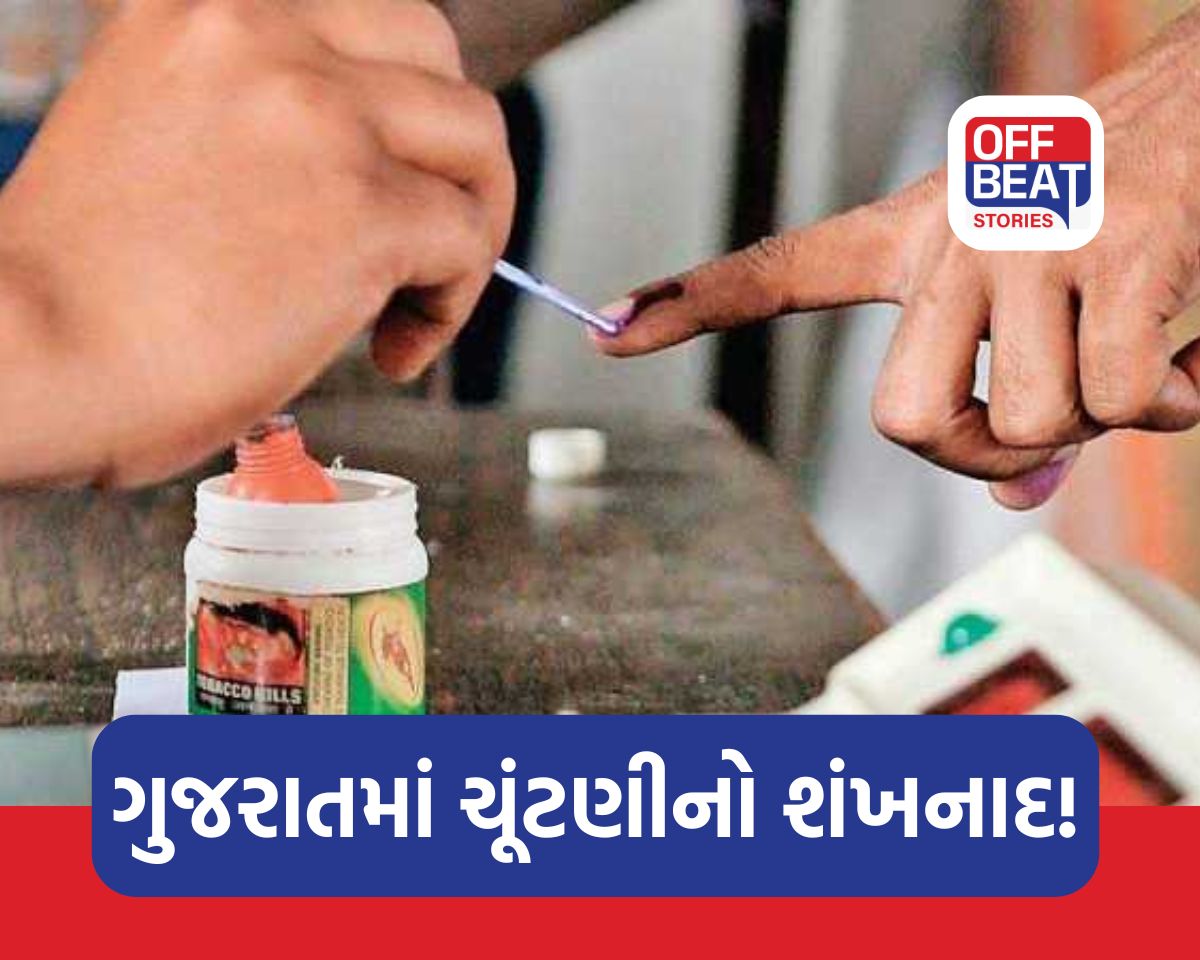 ગુજરાતમાં સ્થાનિક સ્વરાજ્યની ચૂંટણીઓનો ધમધમાટ