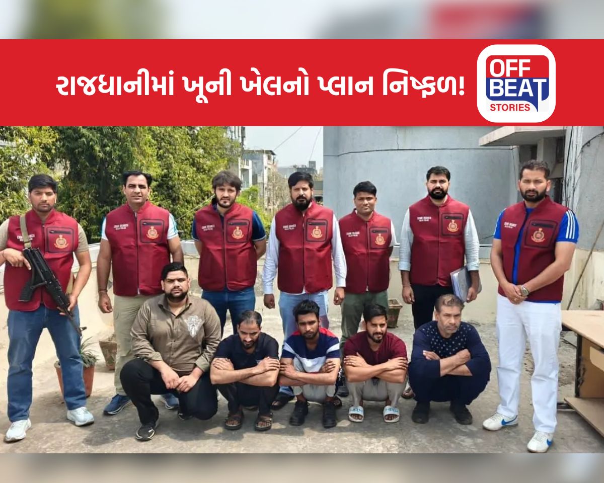 Delhi Crime Branch નો મોટો સપાટો!