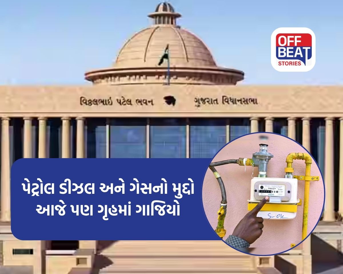 ગાંધીનગરમાં પેટ્રોલ-ડીઝલની અછતની વાતો માત્ર અફવા