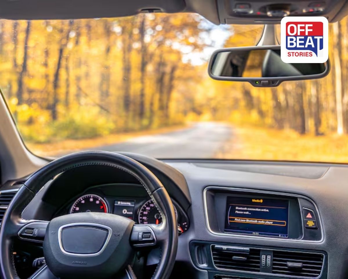 View from inside the car