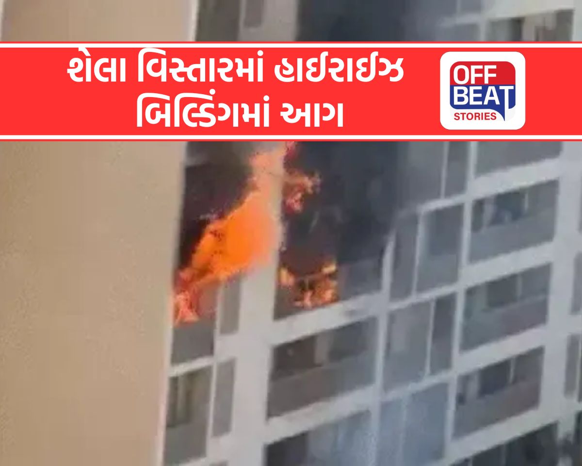 અમદાવાદના શેલાના 'સ્કાયસિટી રિવેરા ઇલાઇટ'માં ભીષણ આગ