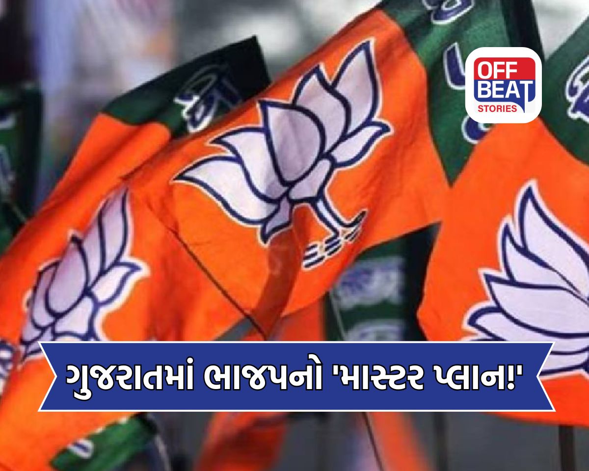 ગુજરાતમાં સ્થાનિક સ્વરાજ્યની ચૂંટણી માટે ભાજપની મોટી તૈયારી