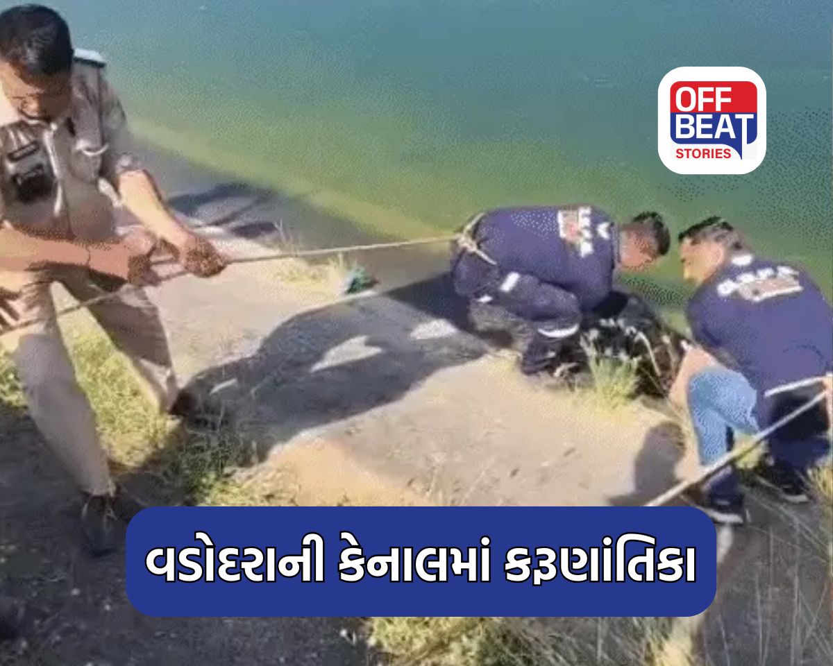 વડોદરાની કેનાલો બની 'ડેથ ટ્રેપ'