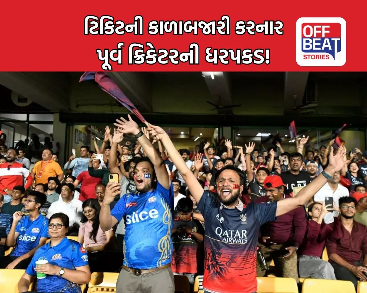 This is a photo of fans sitting in the stadium.