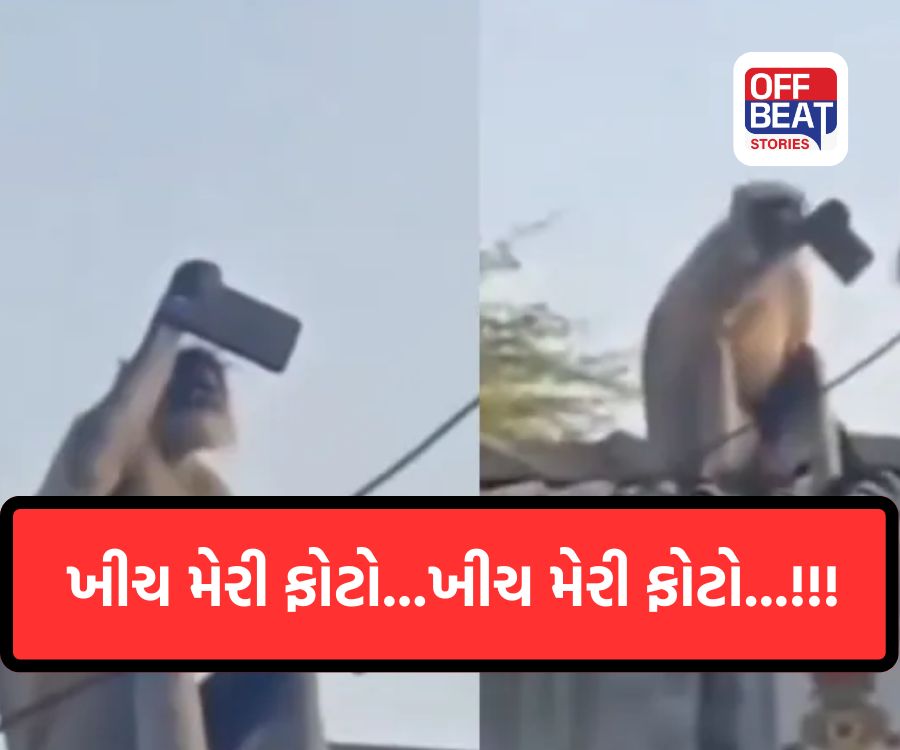 ખીચ મેરી ફોટો...ખીચ મેરી ફોટો...!!!