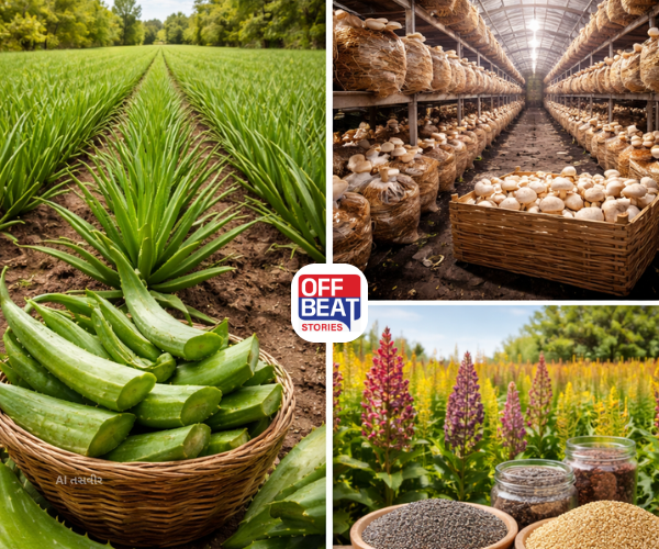 પરંપરાગત ખેતીથી આગળ વધો