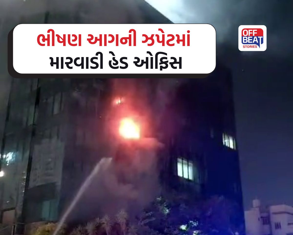 રાજકોટ મારવાડી શેરબજારની હેડ ઓફિસ ભડકે બળી