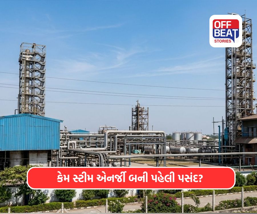 નંદેસરી GIDCના ઉદ્યોગો માટે 'સ્ટીમ હાઉસ' બન્યું સંજીવની