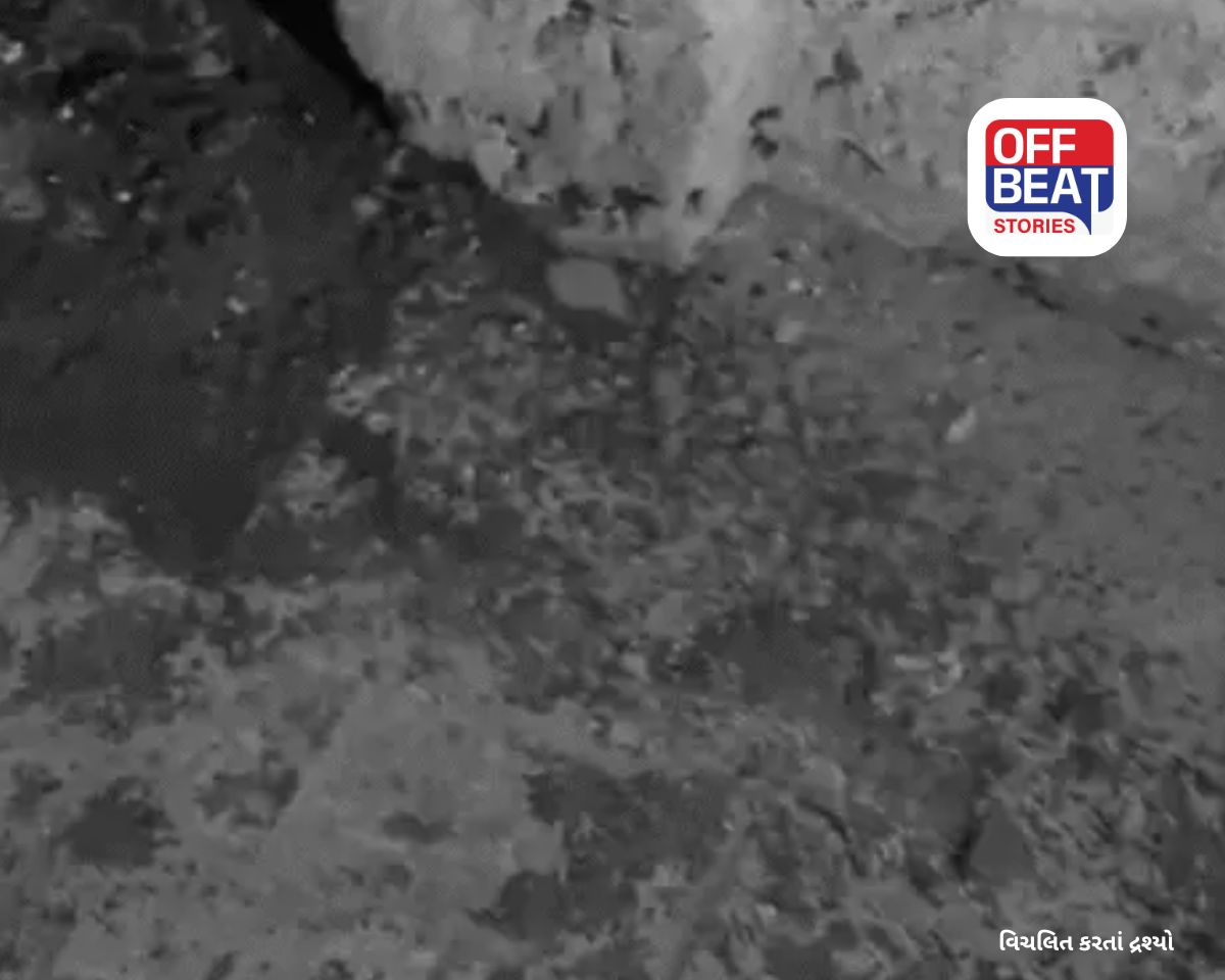 અમદાવાદમાં ધોળા દિવસે યુવતી પર એસિડ એટેક