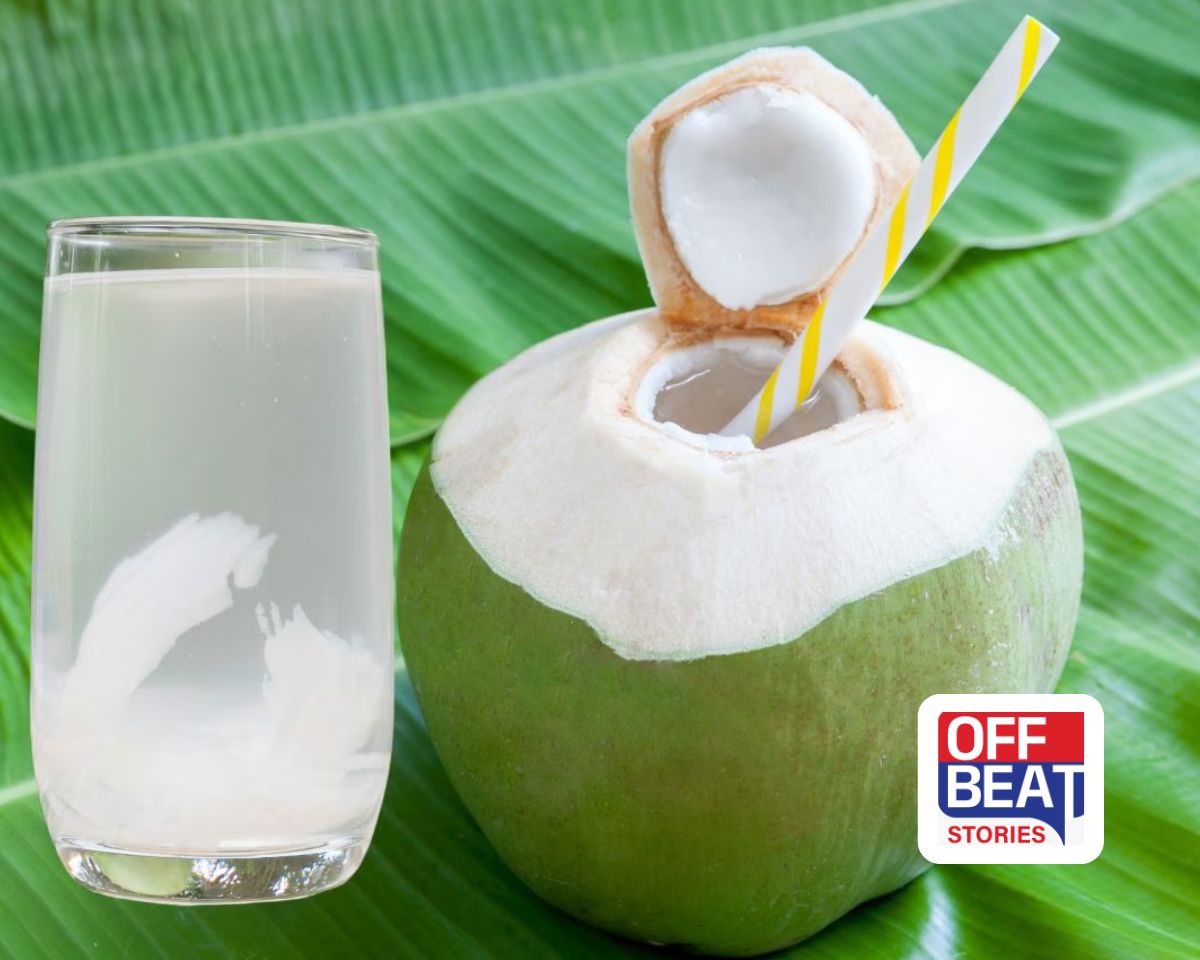 નાળિયેર પાણી પીવાનું કોણે ટાળવું જોઈએ?