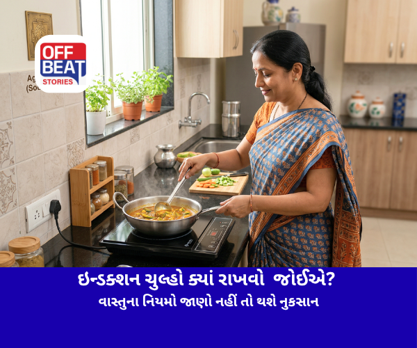 ઇન્ડક્શન ચુલ્હો ક્યાં રાખવો જોઈએ?