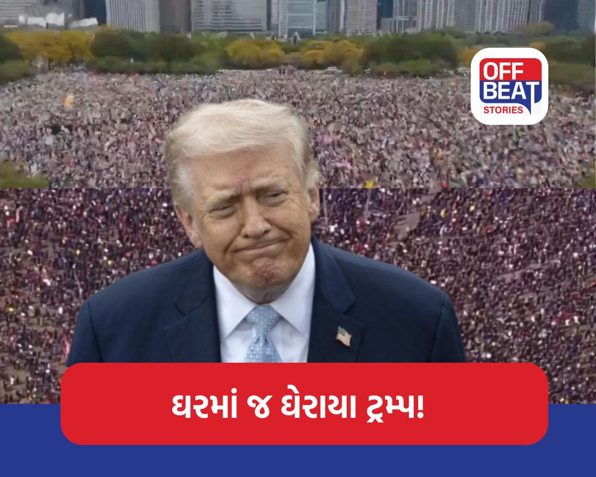 યુદ્ધ વચ્ચે US માં' No Kings Protest'