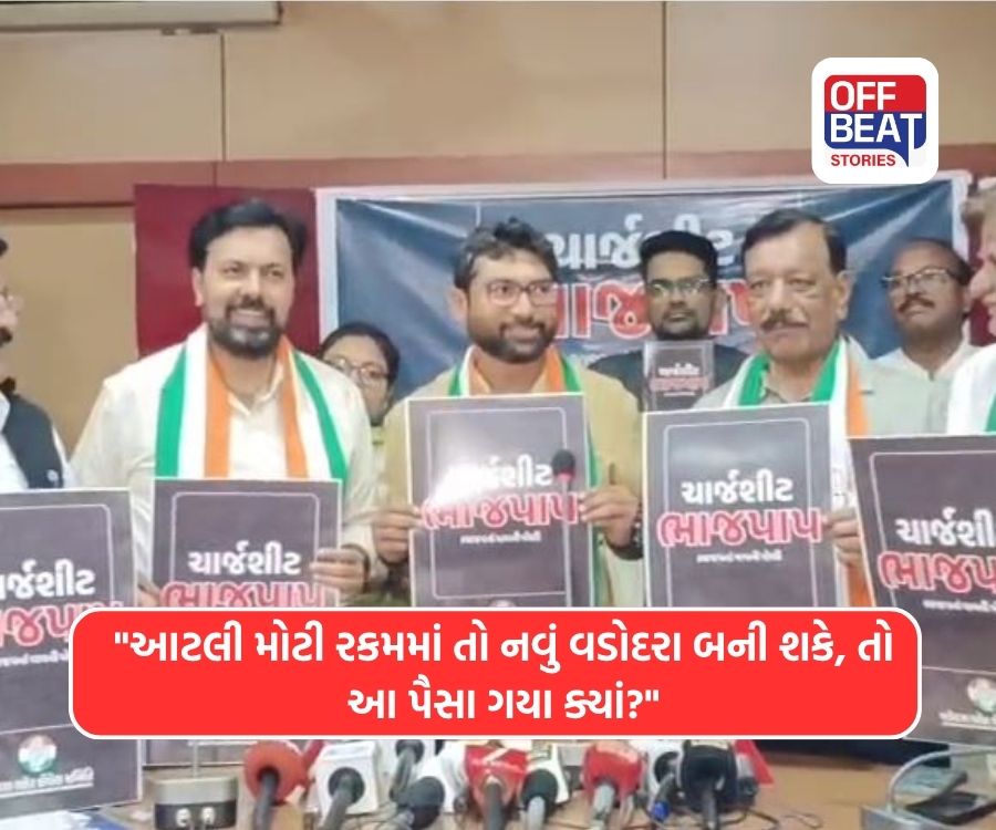 વડોદરા 'કલાનગરી' માંથી બની 'મચ્છરનગરી'