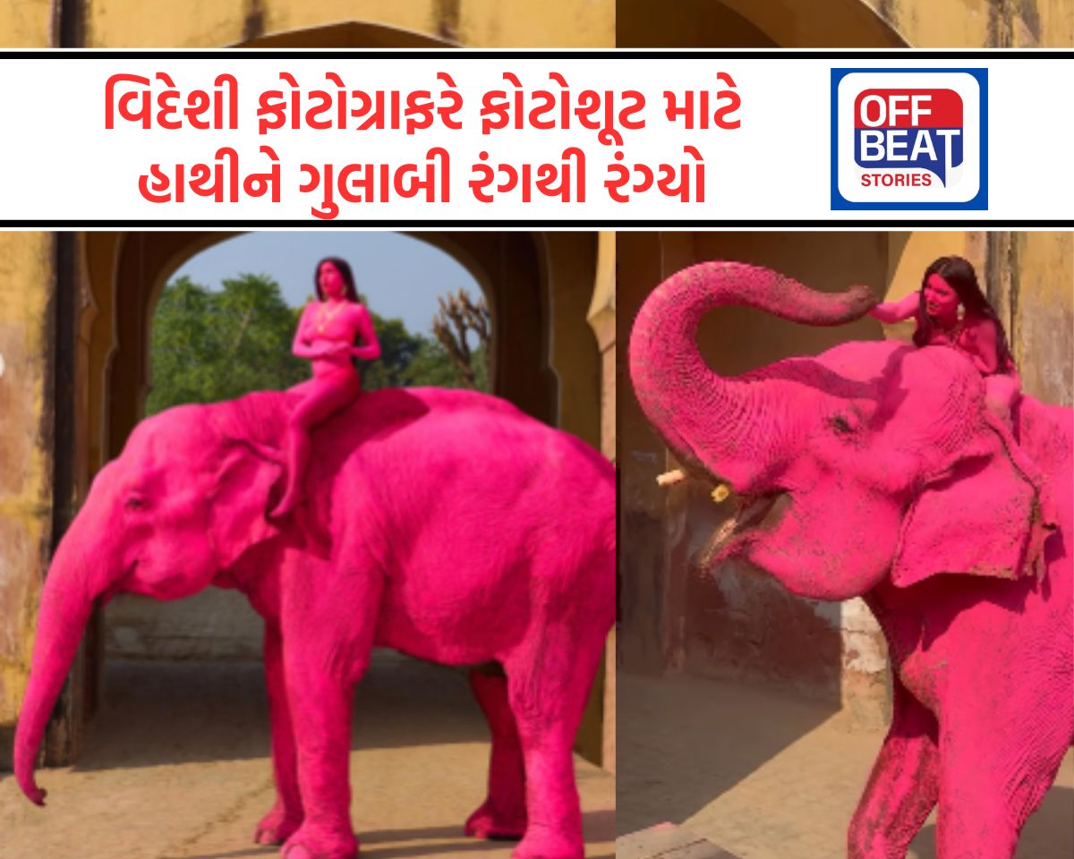 વિદેશી ફોટોગ્રાફરે હાથીને ગુલાબી રંગીને કહ્યું- 'I DON'T USE AI'