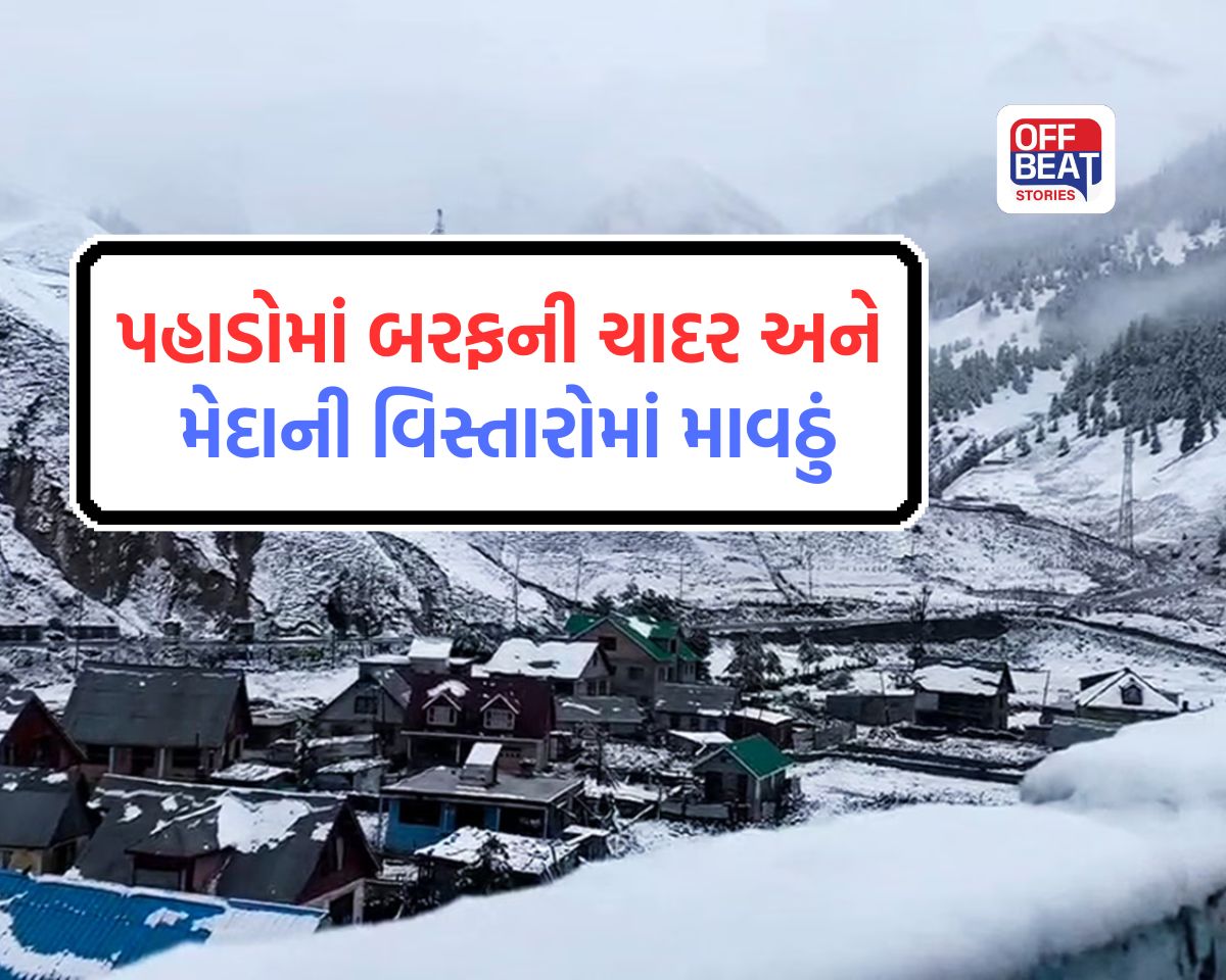 હિમાચલમાં હિમવર્ષા તો દિલ્હીમાં વરસાદનું ‘યલો એલર્ટ’