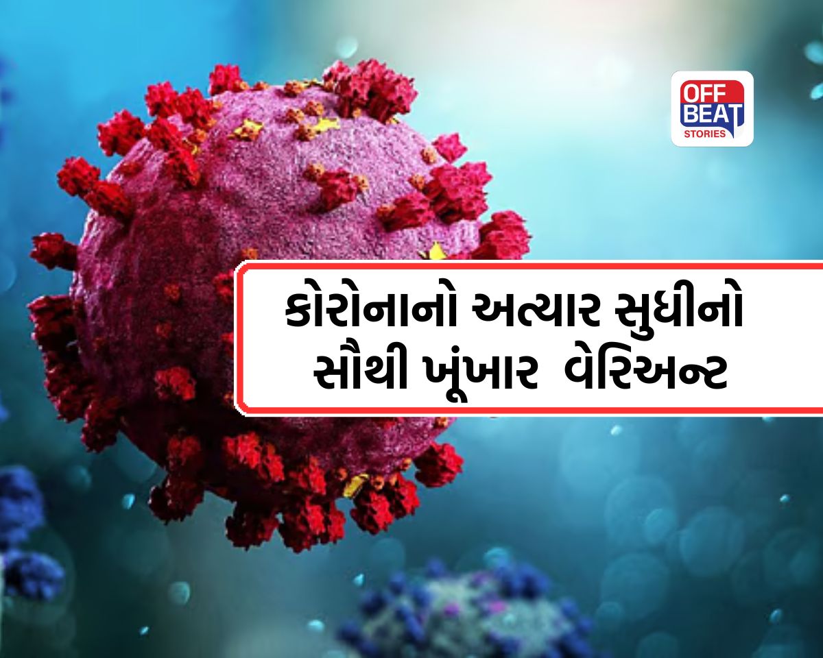 કોરોના બાદ હવે ‘Cicada’ વેરિઅન્ટનો ફેલાવો શરૂ