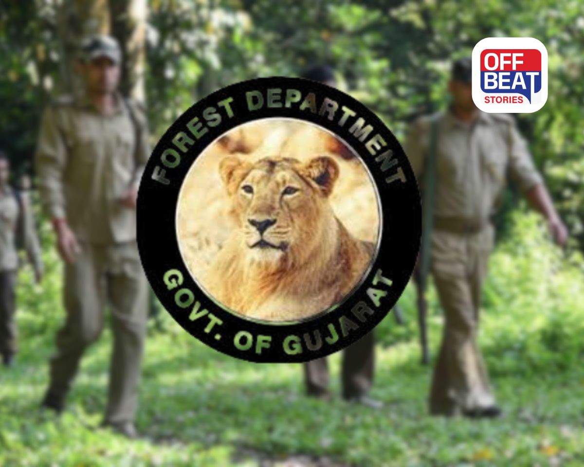 ગુજરાત વન વિભાગમાં મોટો વહીવટી ફેરફાર