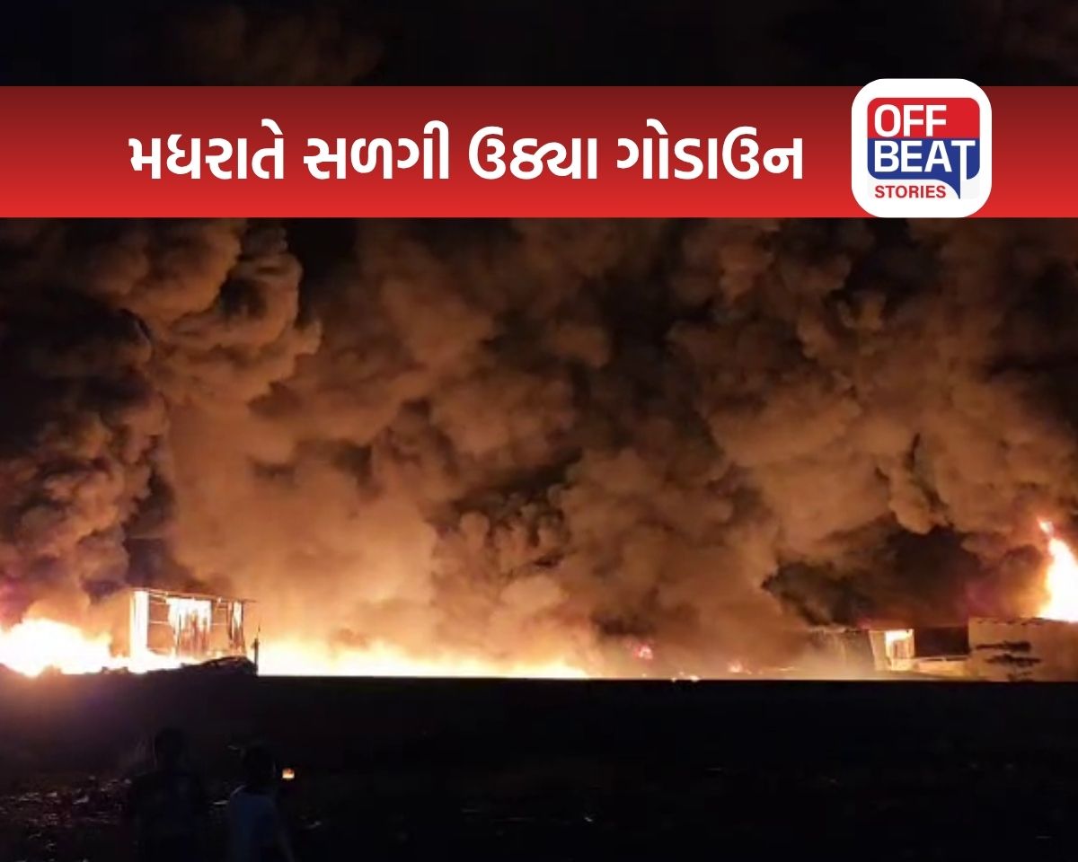 મધરાતે વાપીના ડુંગરામાં ભીષણ આગ
