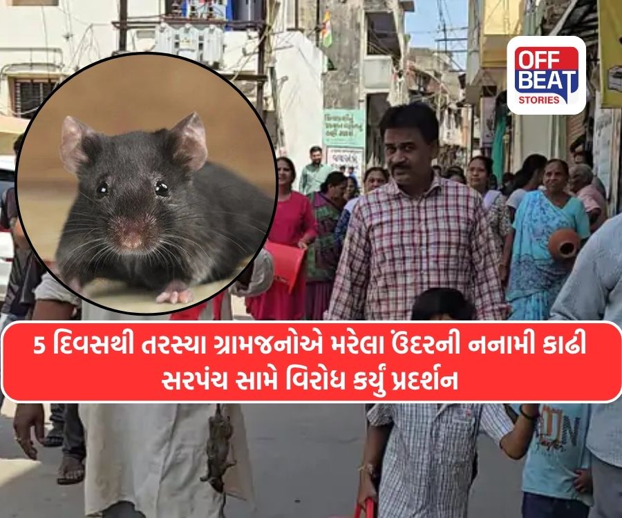 12 બોર, 4 ટાંકી છતાં 5 દિવસથી પાણી વગર તરસ્યું ગામ!