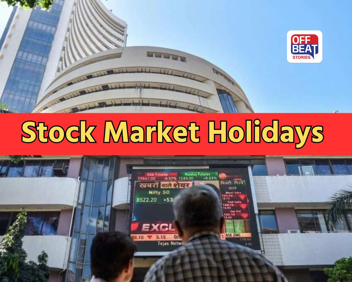 રોકાણકારો માટે ખાસ