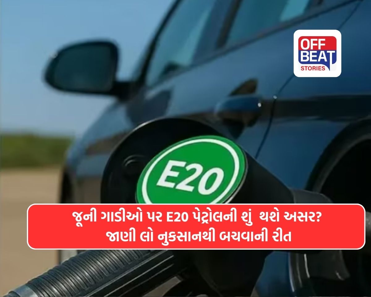 E20 Petrol: આજથી દરેક પેટ્રોલ પંપ પર મળશે માત્ર E20 પેટ્રોલ