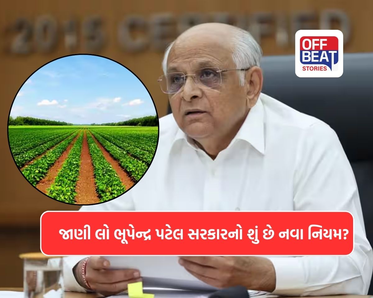ગુજરાત સરકારનો ઐતિહાસિક નિર્ણય