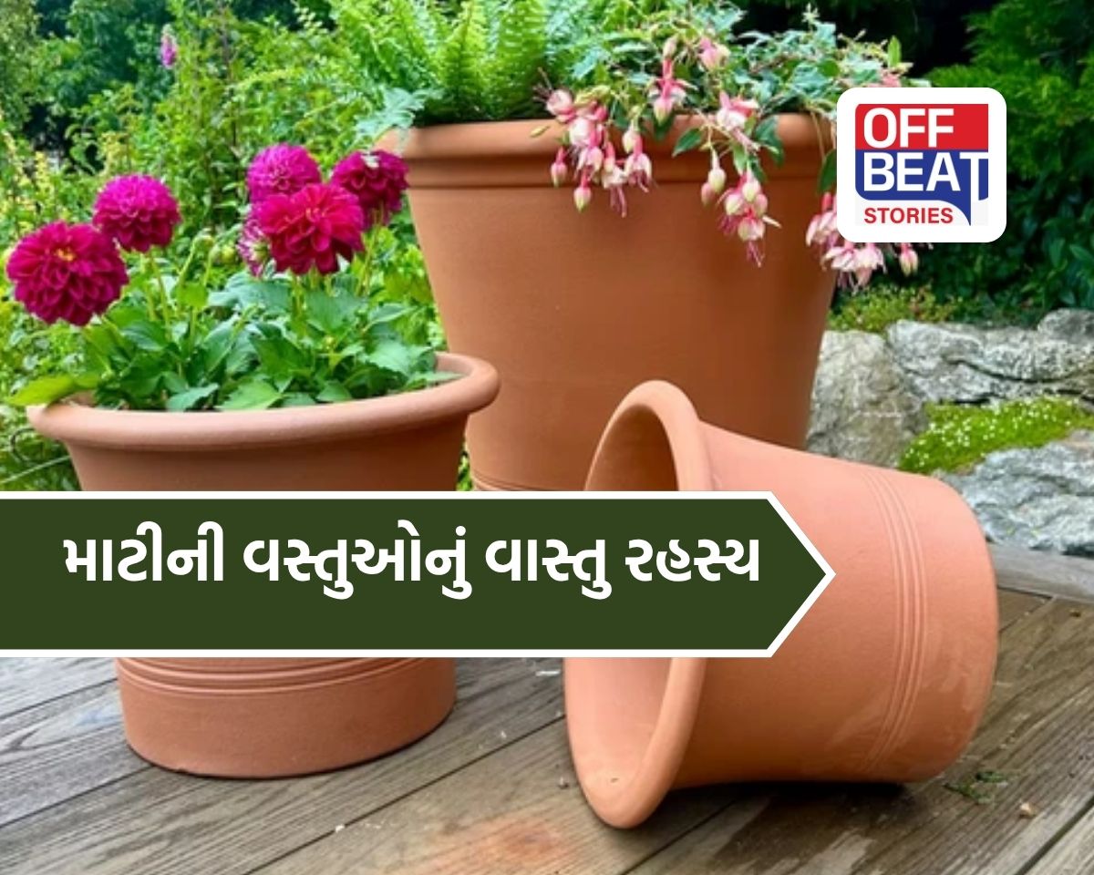 આ દિશામાં મૂકો માટીની વસ્તુઓ