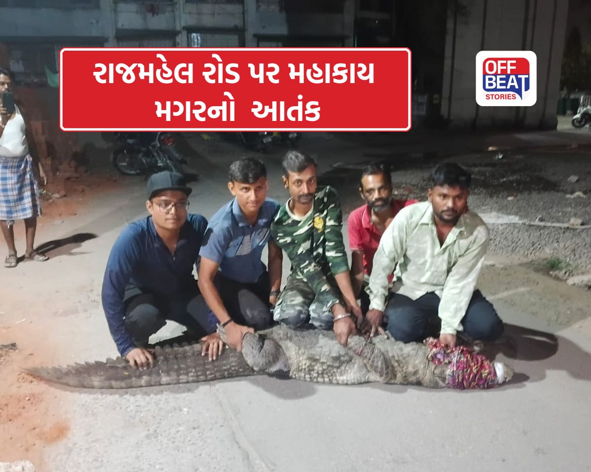 વડોદરામાં ફરી નદીની બહાર આવ્યો મગર