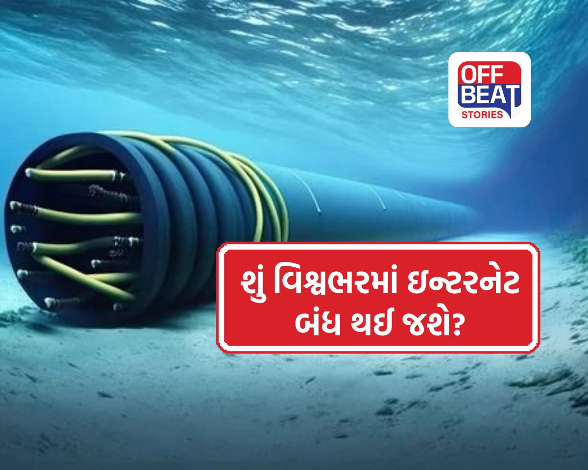 શું વિશ્વભરમાં ઇન્ટરનેટ બંધ થઈ જશે?