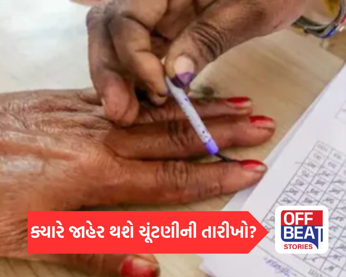 ગુજરાતમાં સ્થાનિક સ્વરાજ્ય ચૂંટણીનો કાઉન્ટડાઉન શરૂ